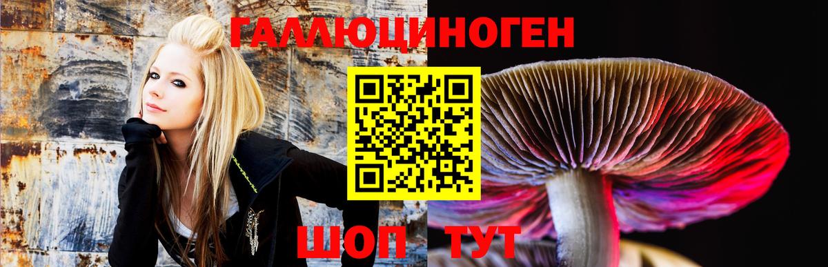Галлюциногенные грибы мицелий  Галлюциногенные грибы мухоморы  купить закладку  Вход с VPN  Шелехов 