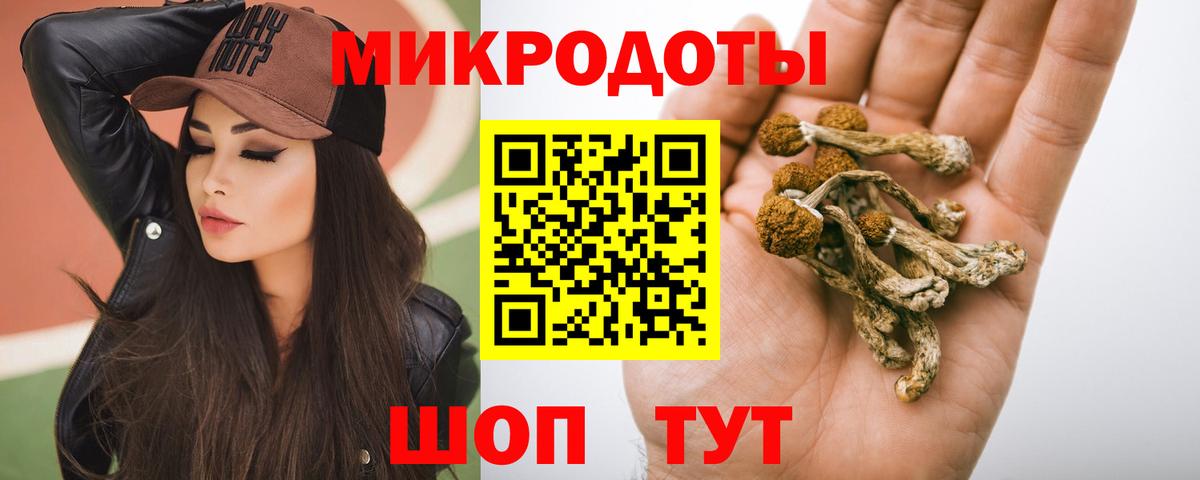 Галлюциногенные грибы Cubensis Шелехов